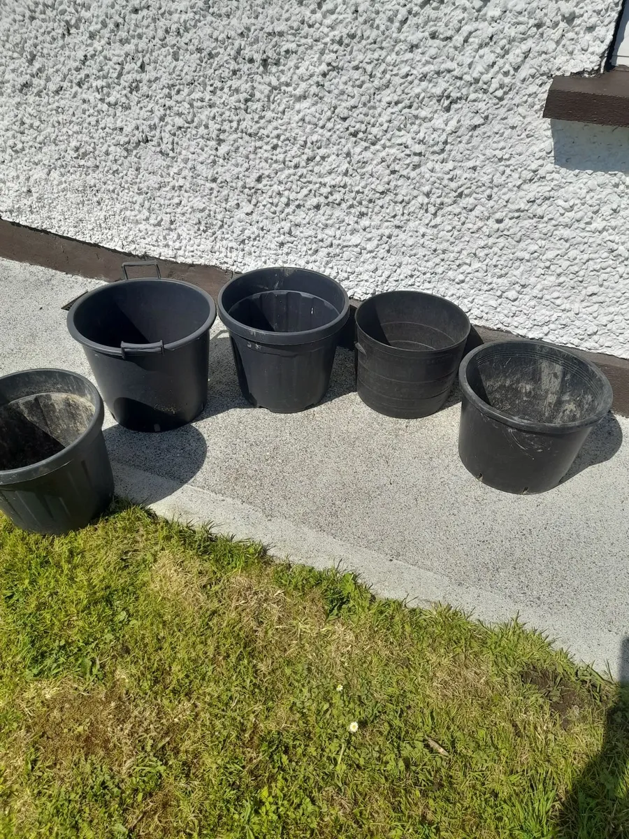 Plant pots
