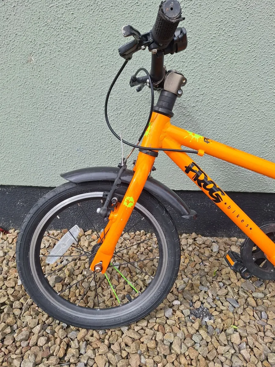 Frog 48 Bike - Image 2