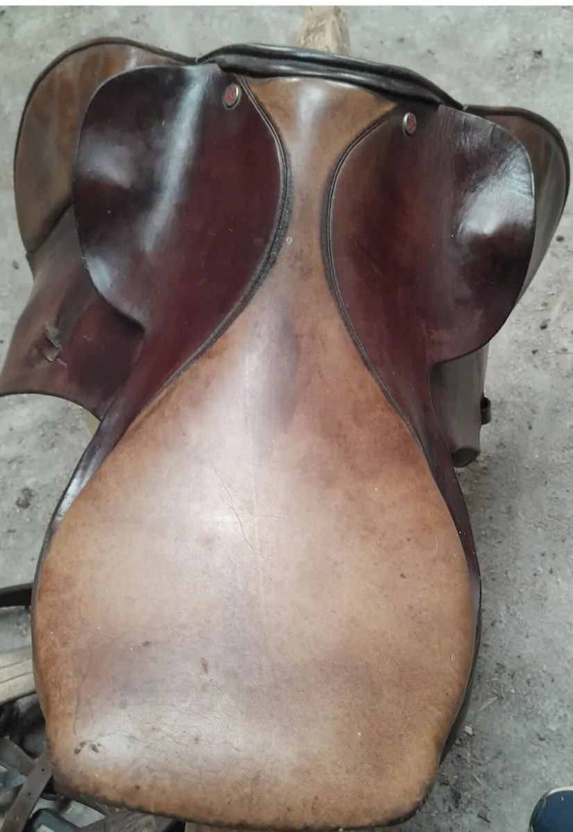 Pony Saddle - Image 1