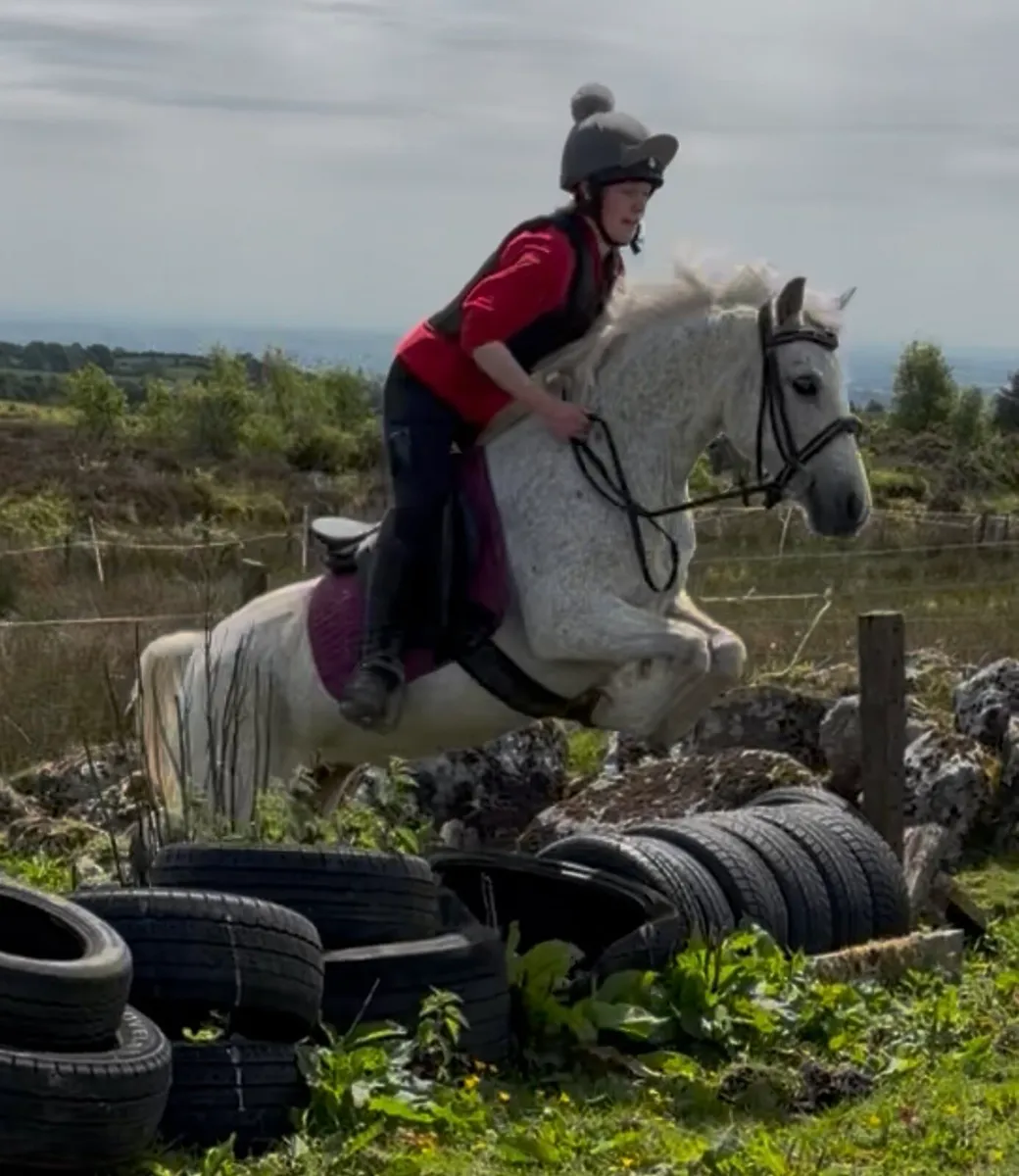 RC/ PC pony - Image 4