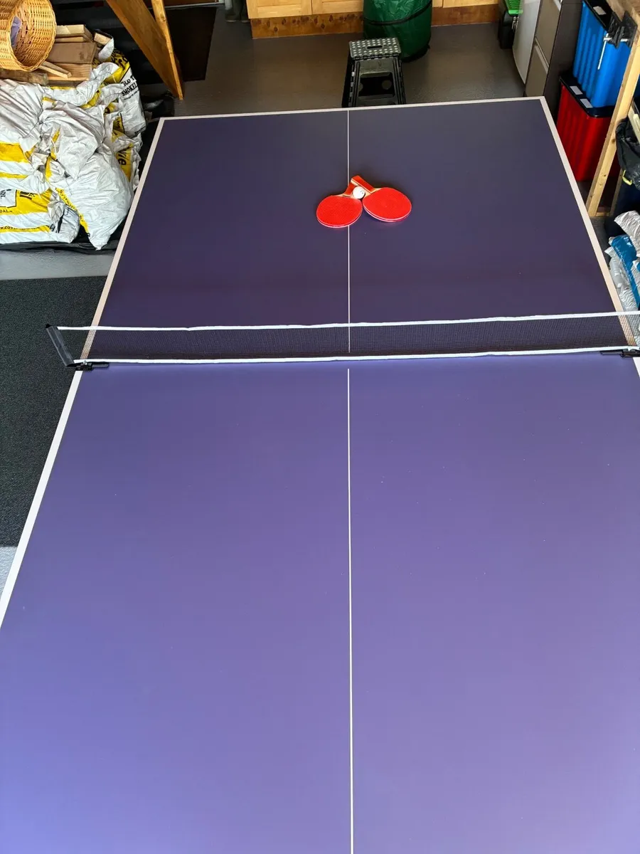 Table Tennis Table (full size) - Image 3