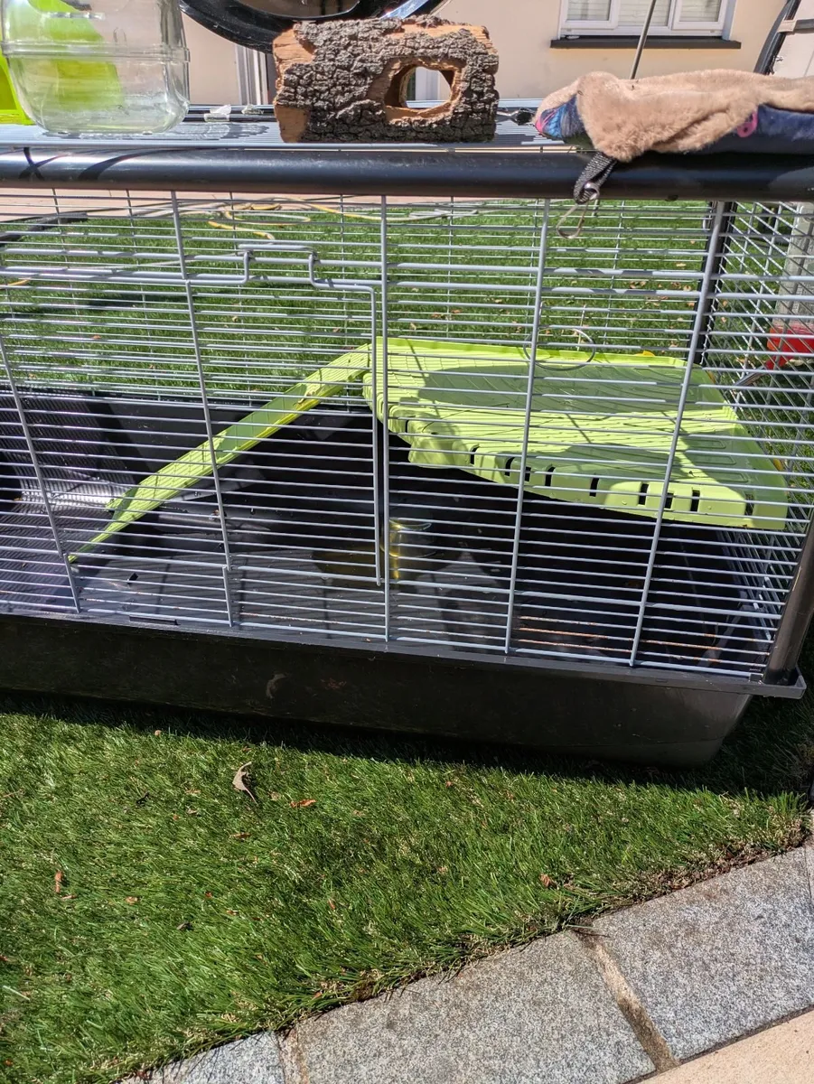 Hamster Cage and Accessories - Image 2