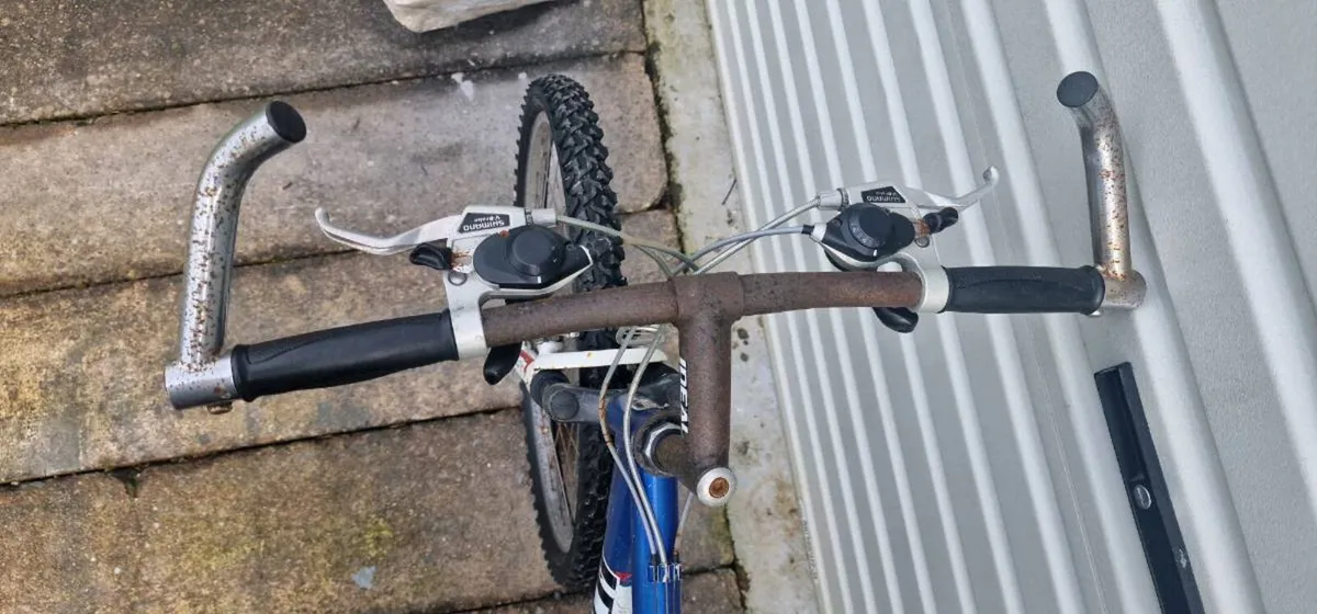 Bicycle - Image 2