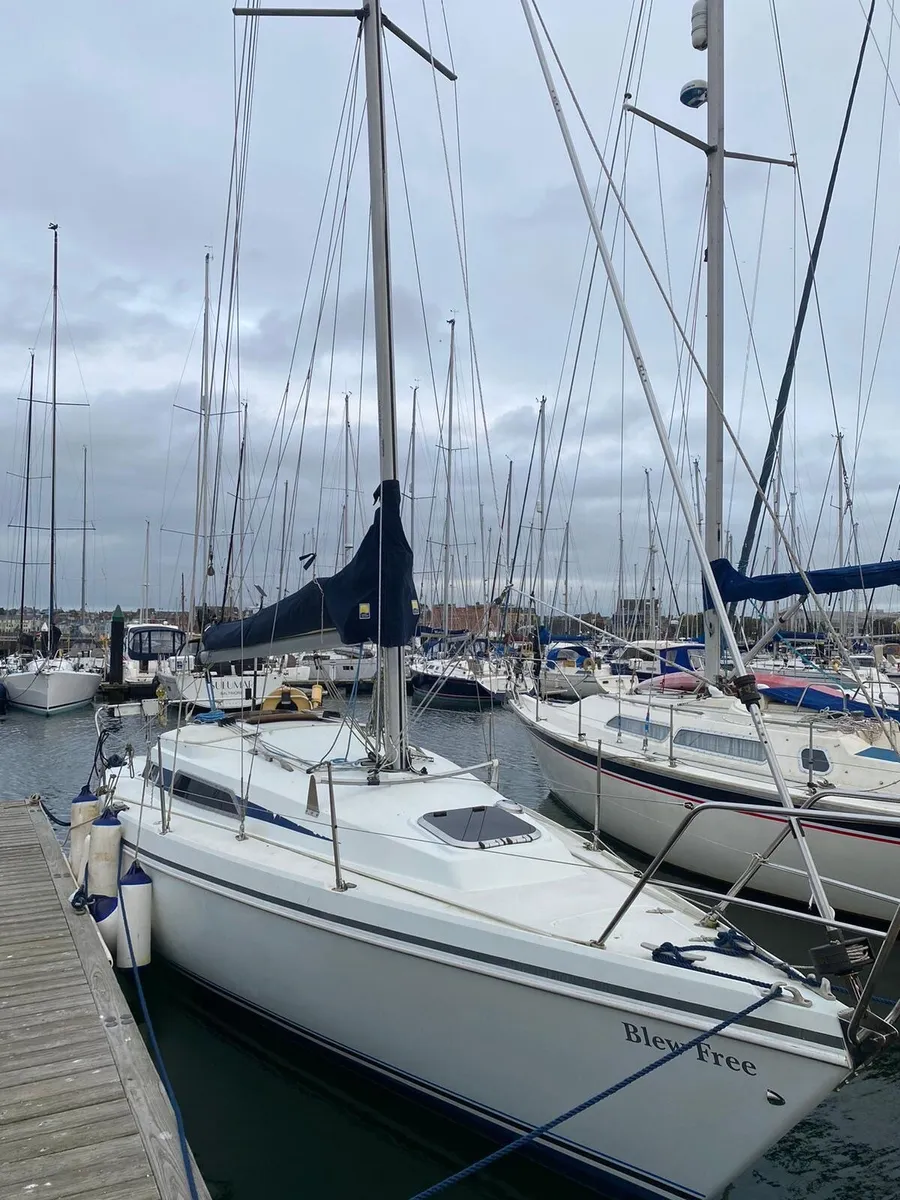 Hunter Horizon 30 - Image 1