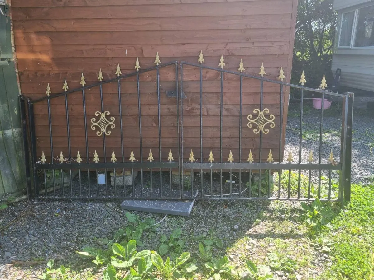 Wrought iron gates - Image 3