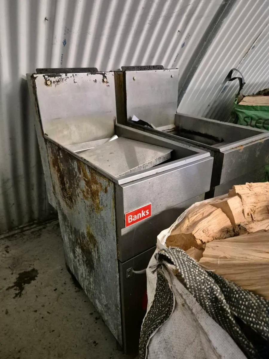 Banks Gas Fryers - Image 1