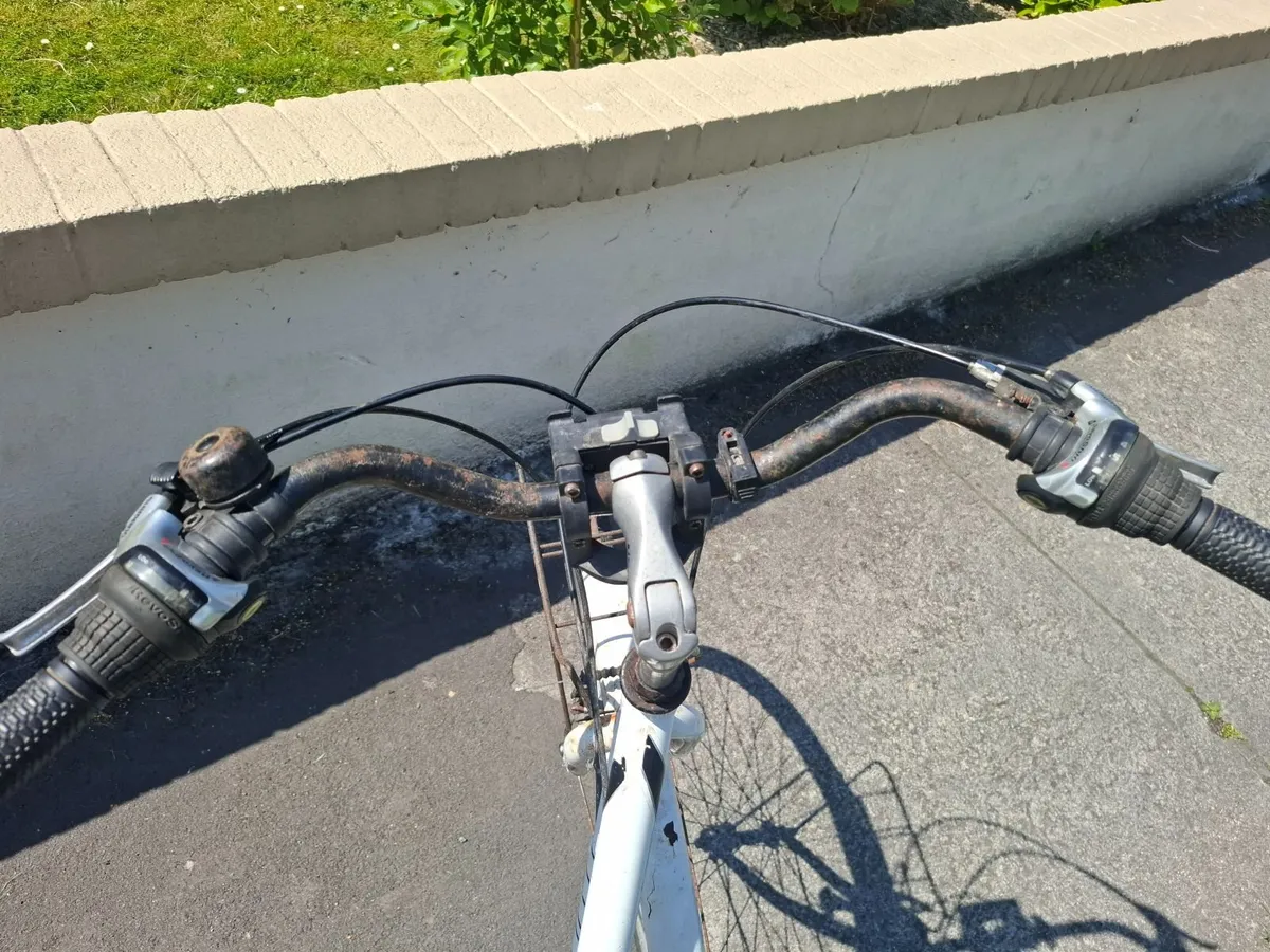 Bicycle - Image 3