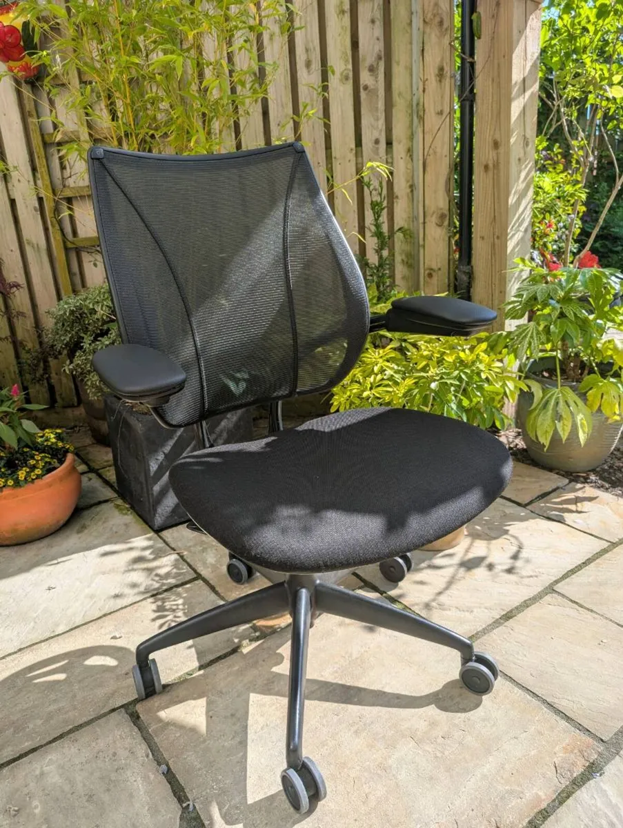 Ergonomic office chair - Image 1