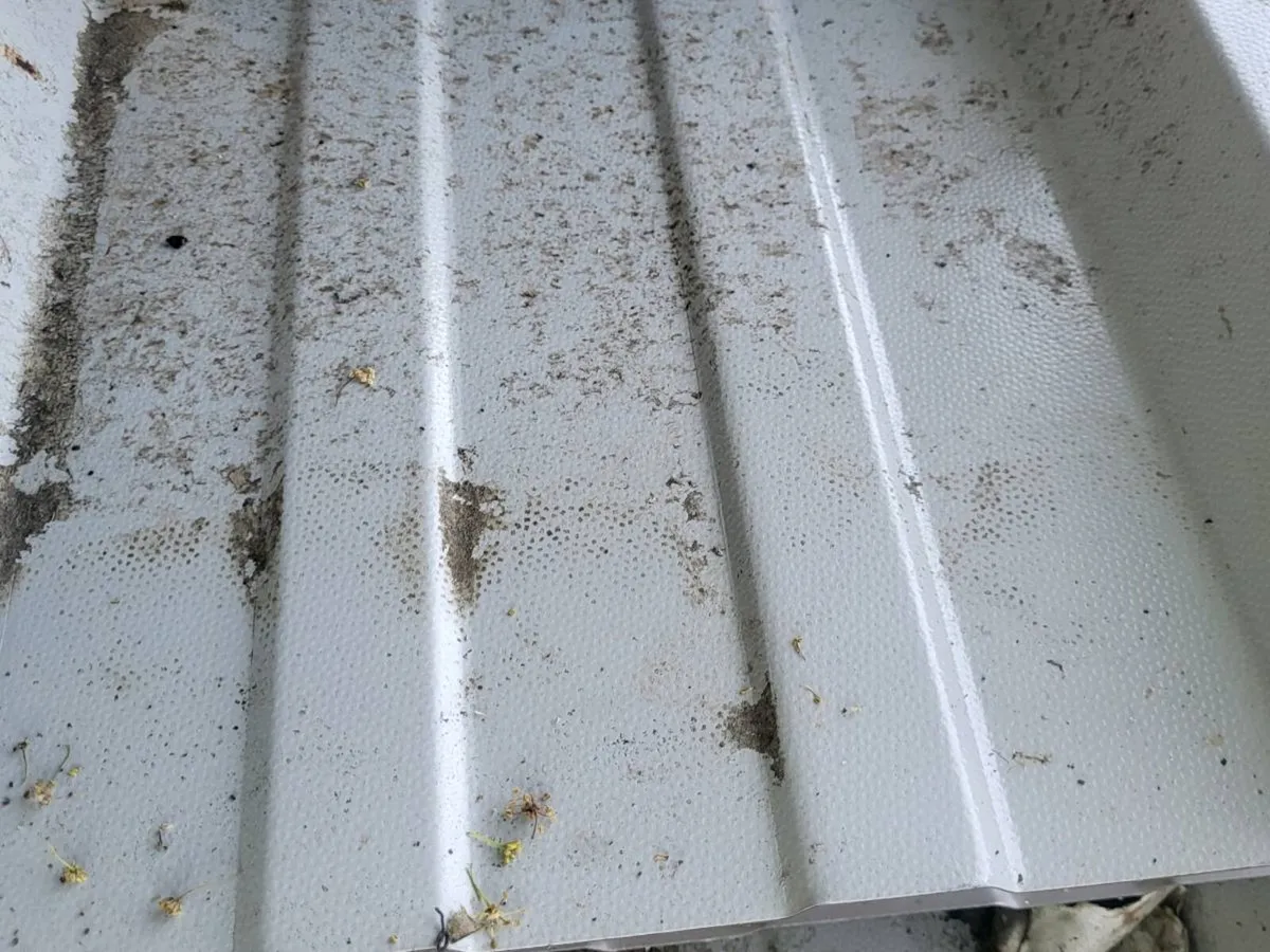 Insulated cladding sheeting - Image 2