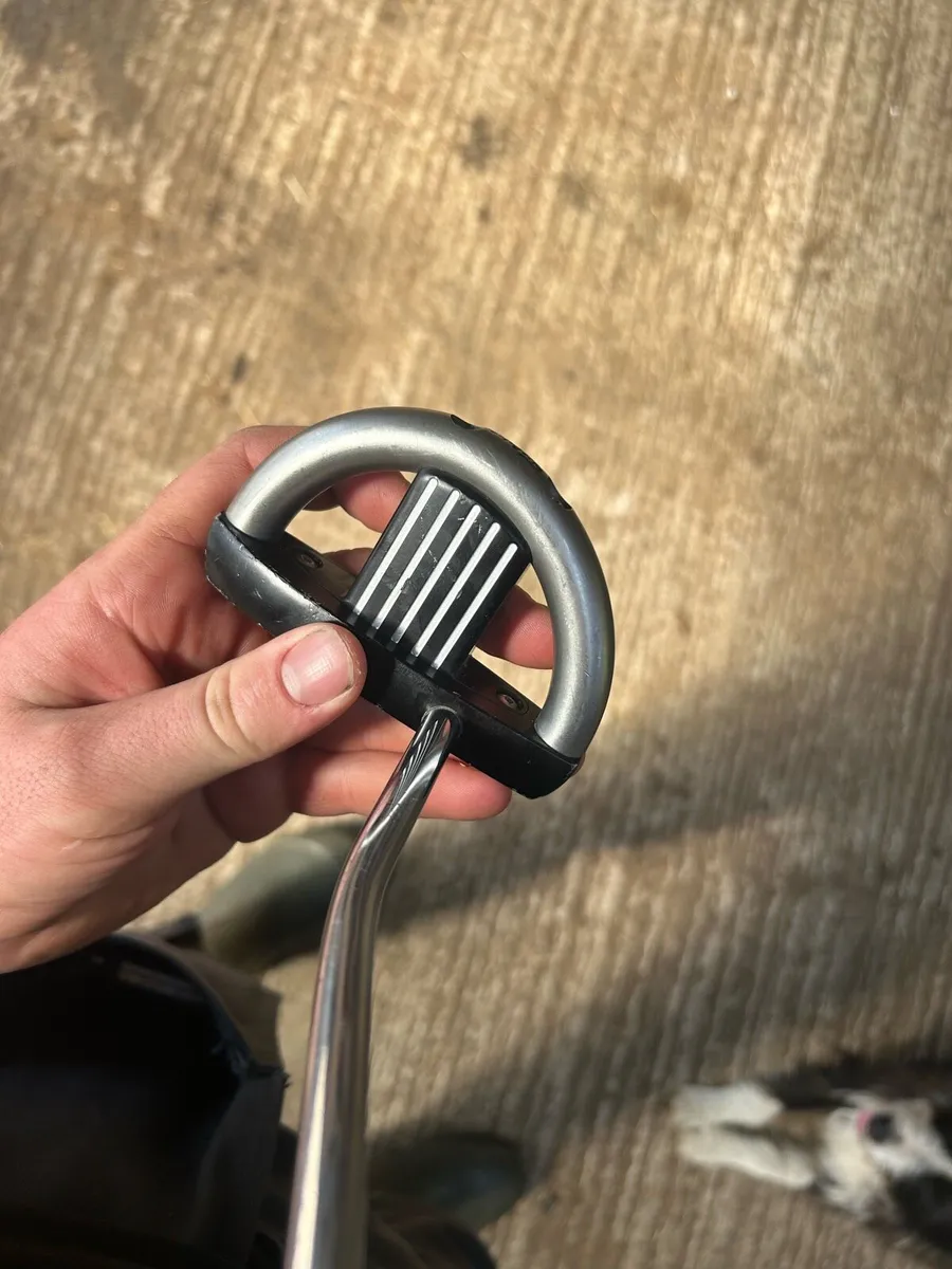 Scotty Cameron Futura phantom mallet putter - Image 3