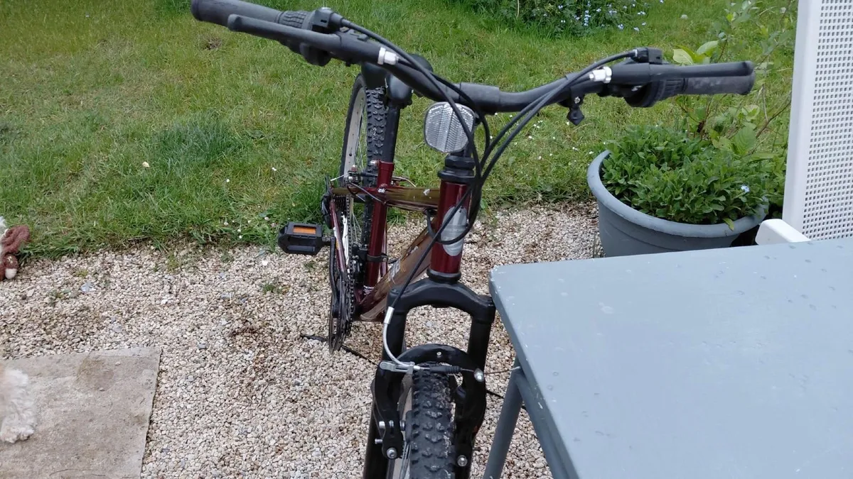 junior bike - Image 4