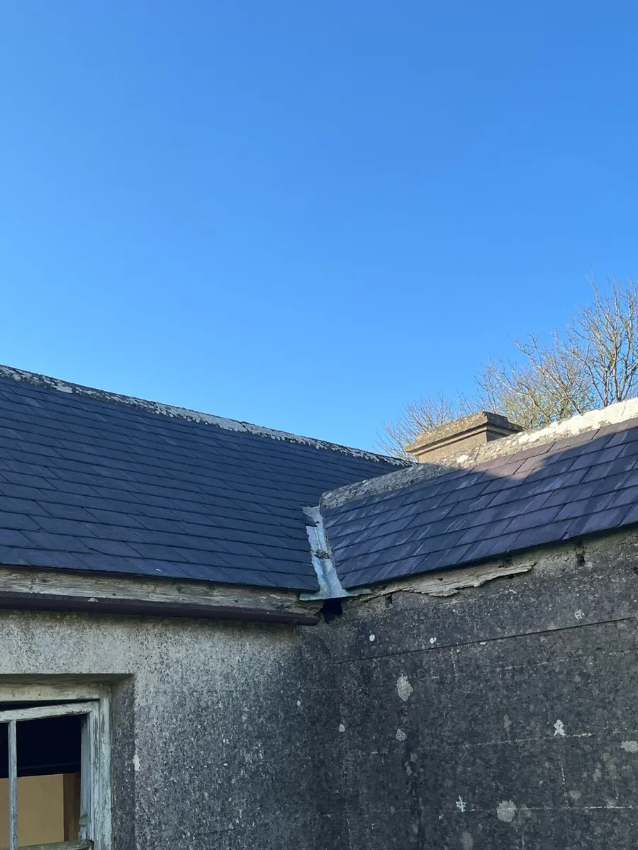 Blue Bangor slates - Image 3
