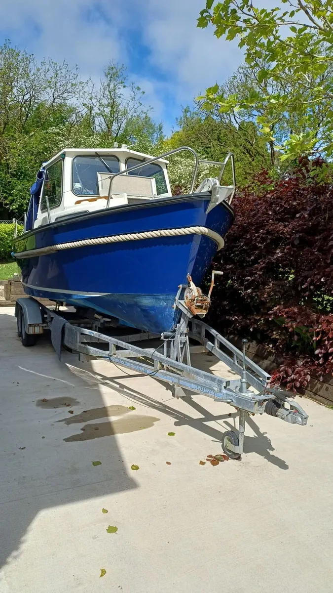 Hardy 20 for sale in Wexford - Image 1