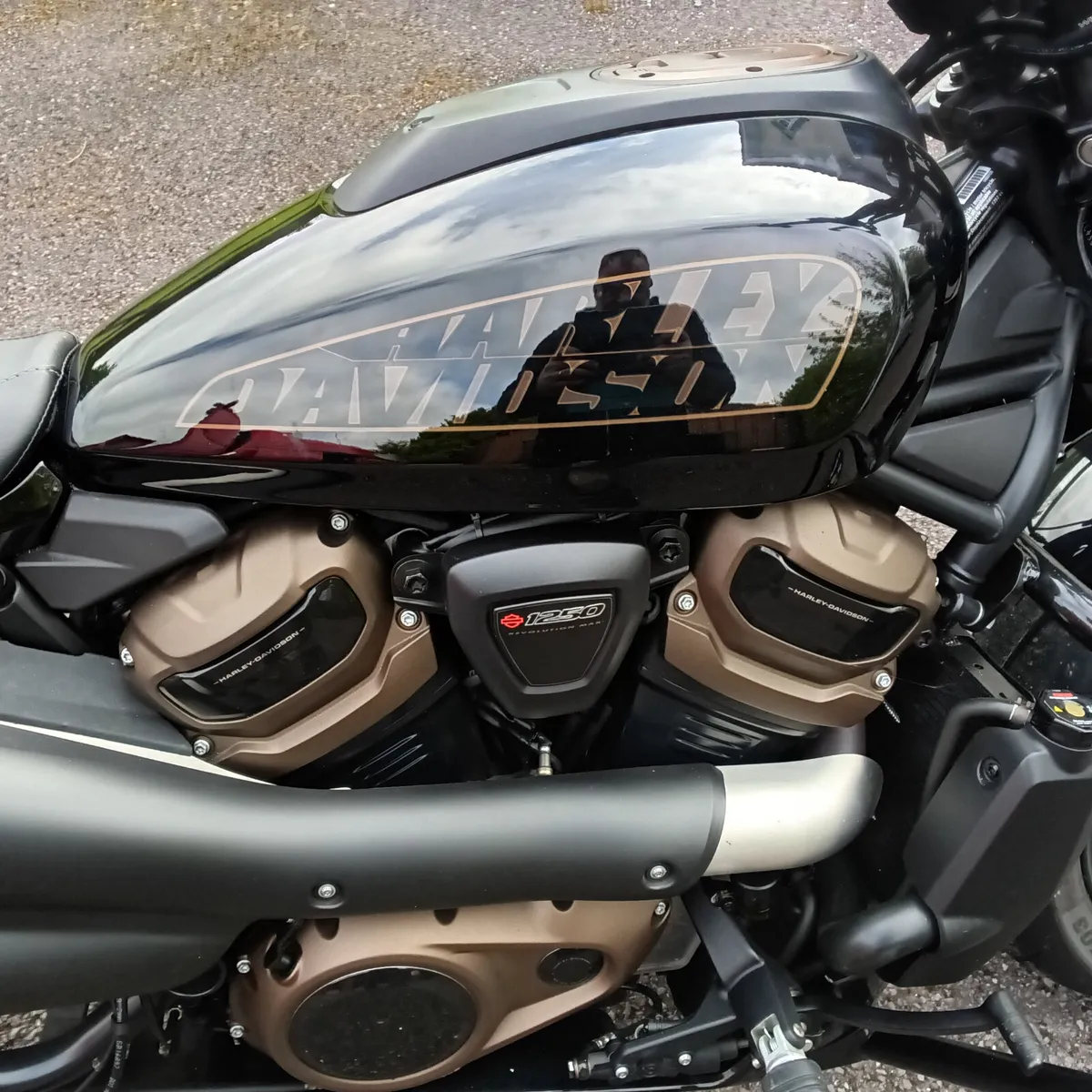 HARLEY DAVIDSON SPORTSTER 2022 1250 S - Image 2