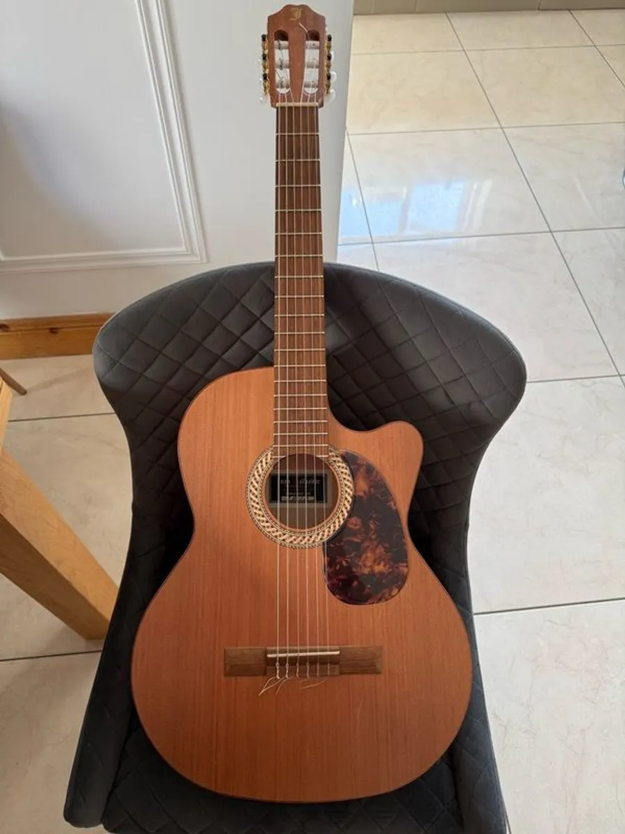 Juan Salbador Guitar - Image 1