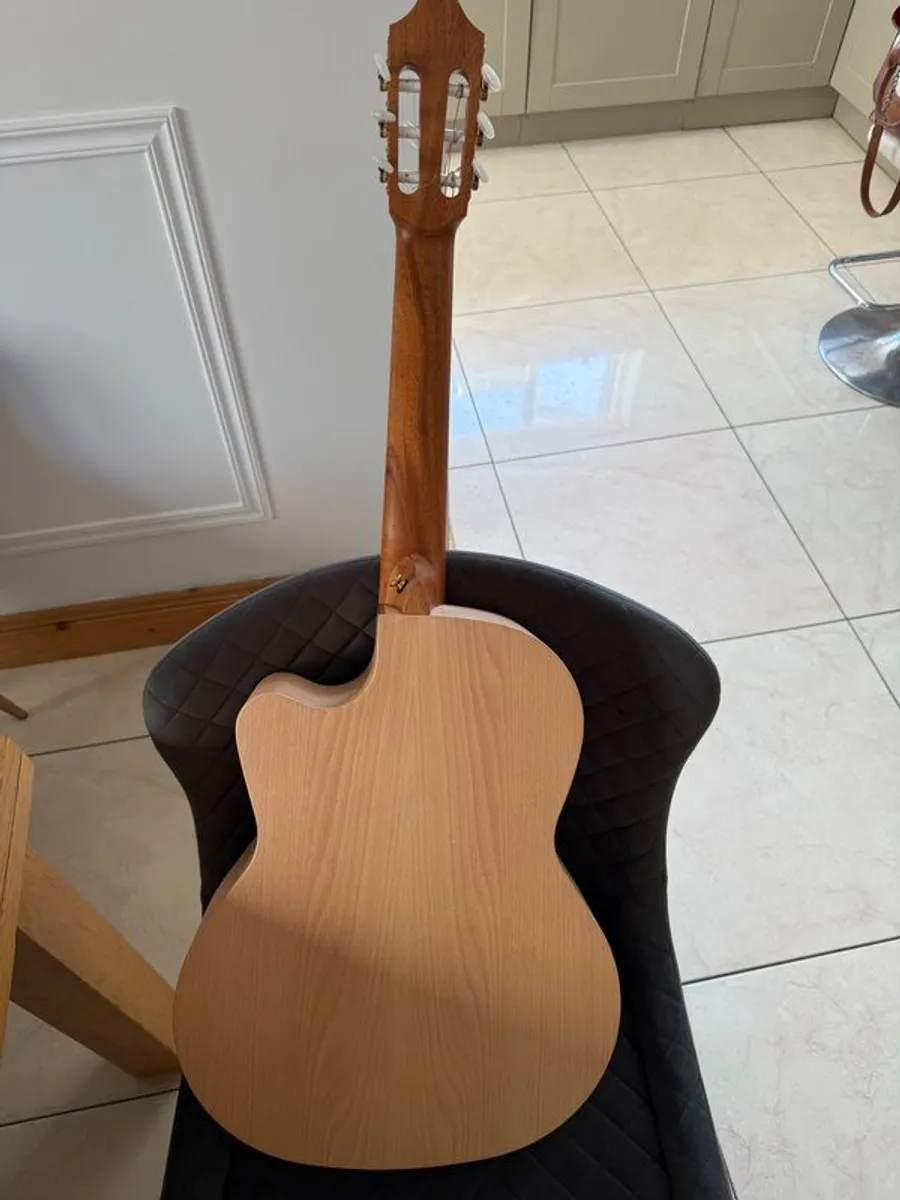 Juan Salbador Guitar - Image 2
