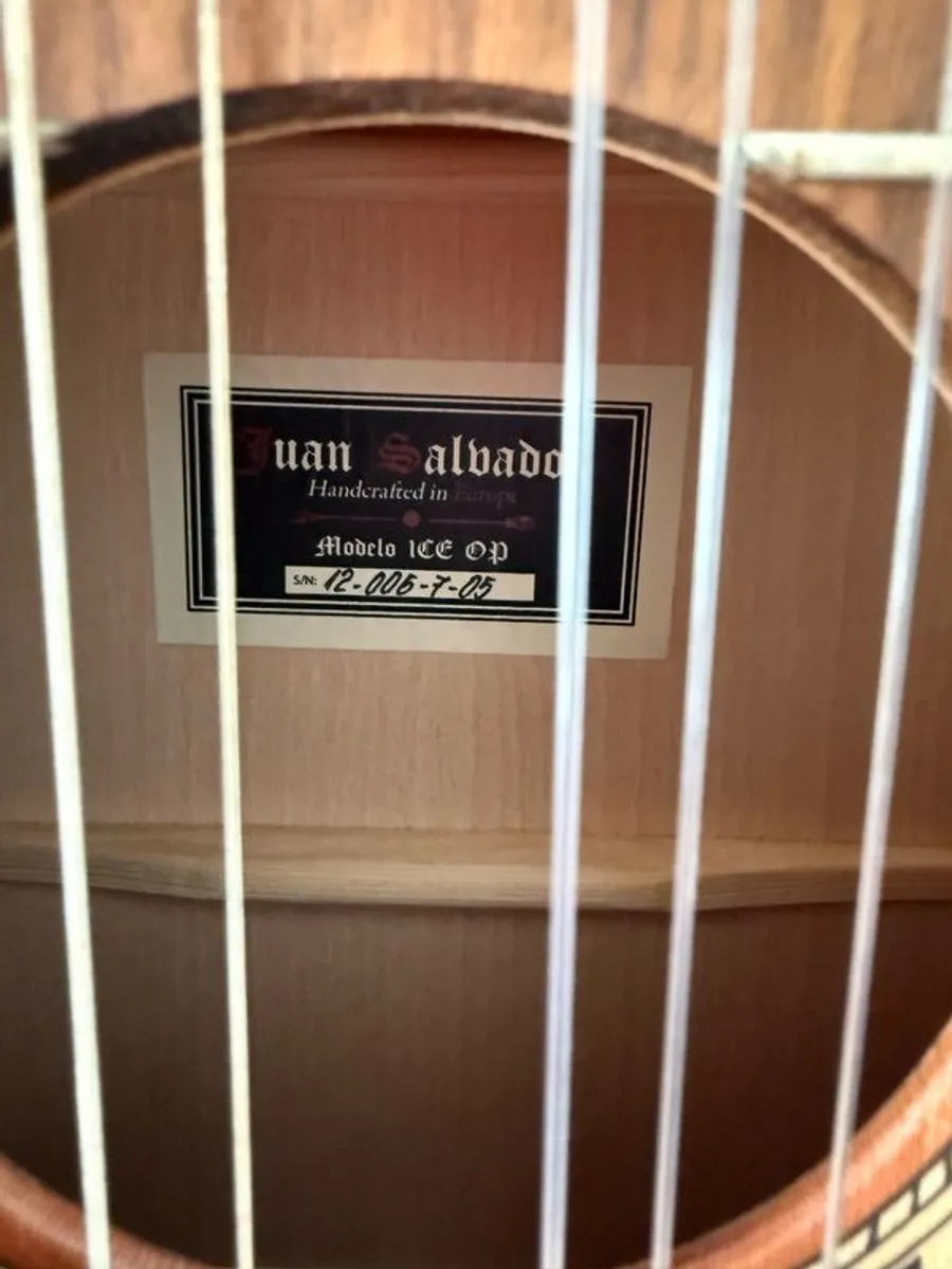 Juan Salbador Guitar - Image 3