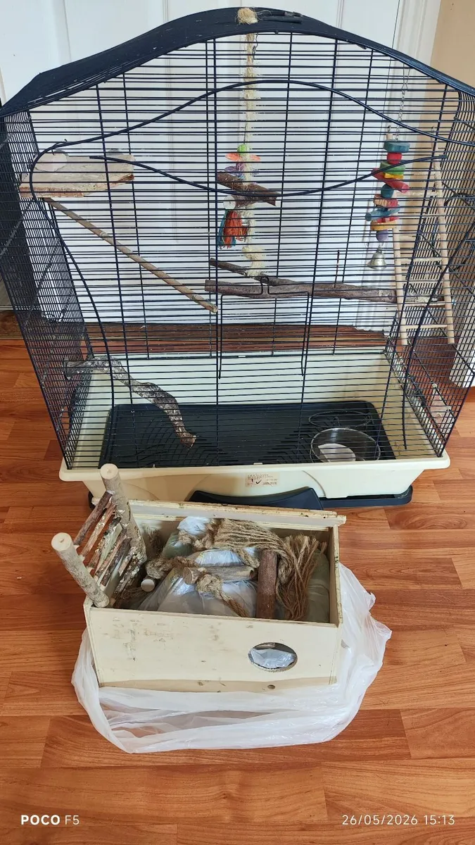 Bird cage and accessories