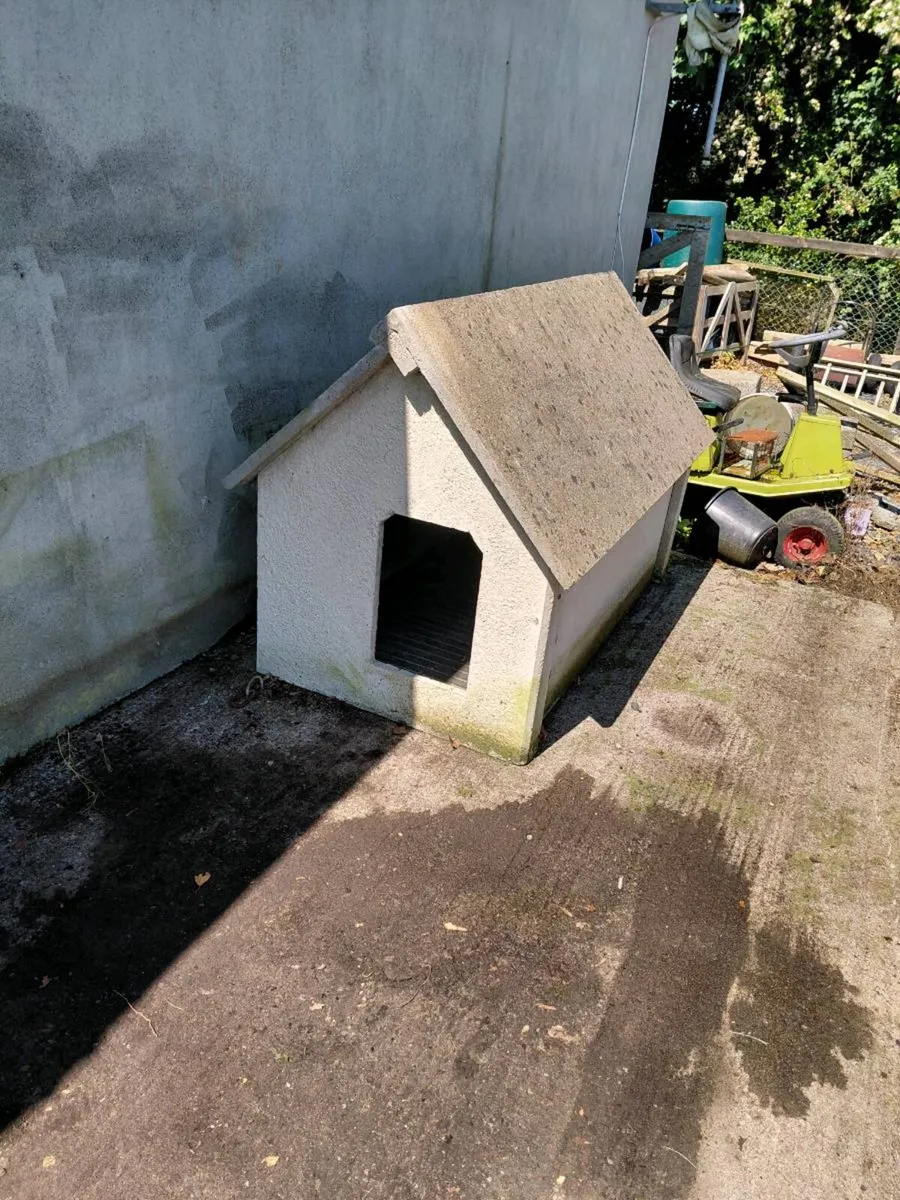 Concrete Dog House for 2 large dogs

Rubber mat in - Image 1