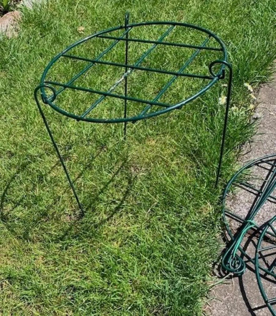 Plant supports - Image 1