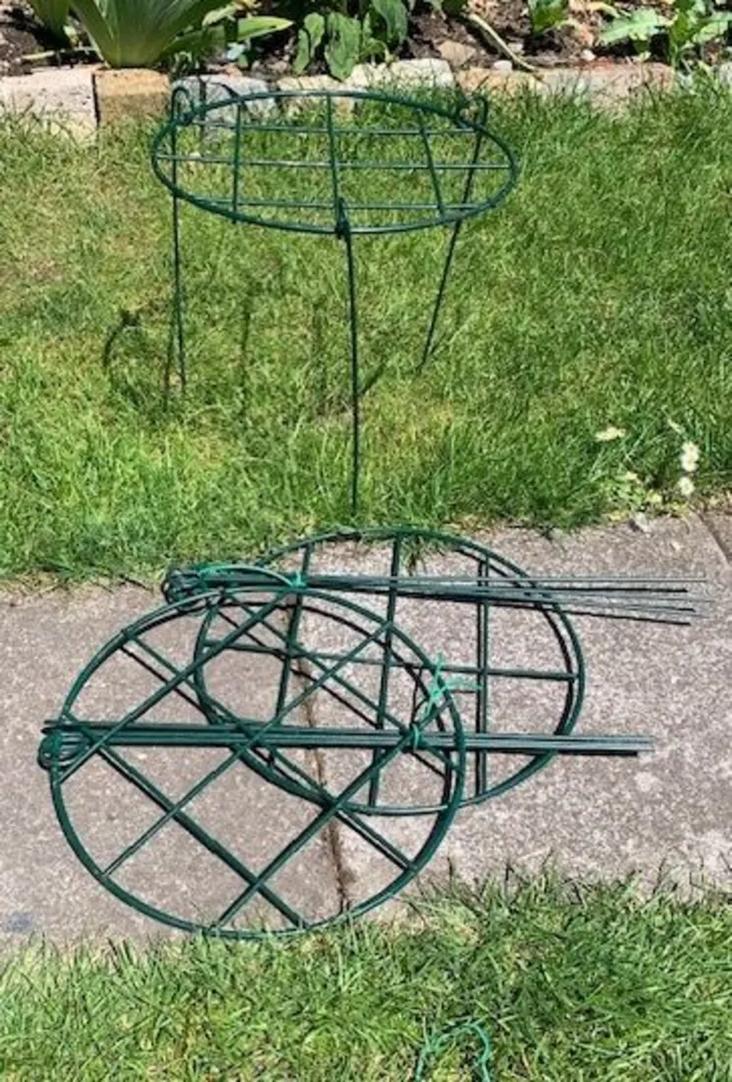 Plant supports - Image 3