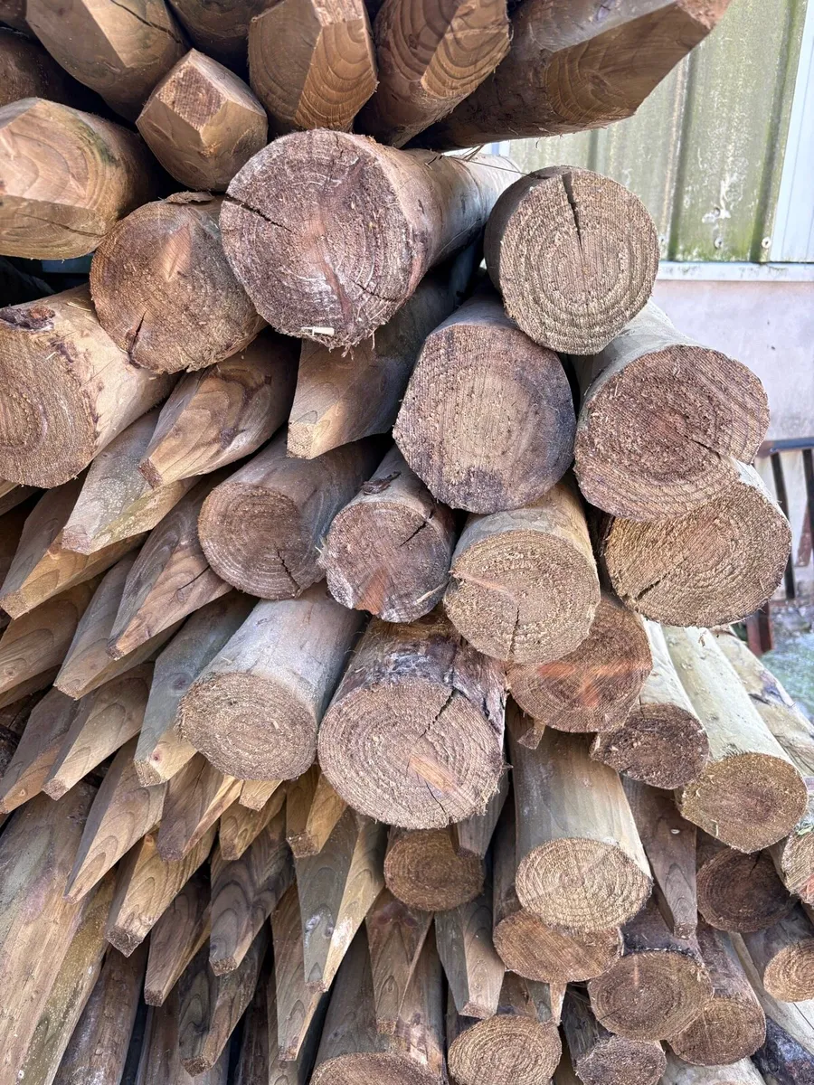 6ft 4" Fence posts €140 bale - Image 2