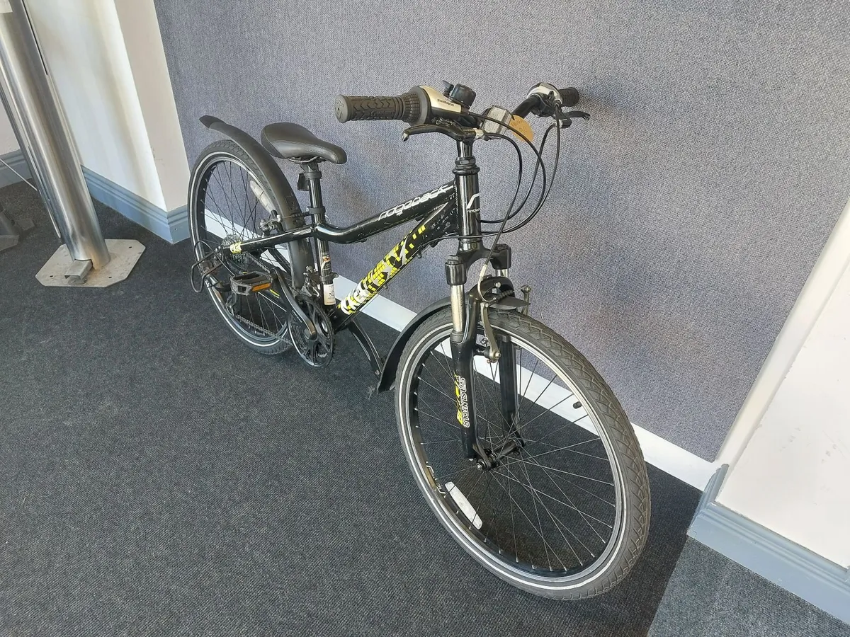 Ridgeback MX24 - Image 2