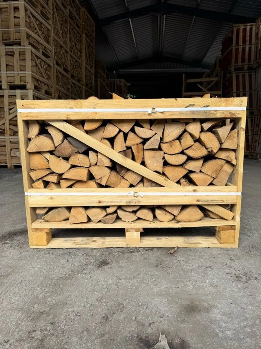 kiln dried logs (Ash) - Image 1