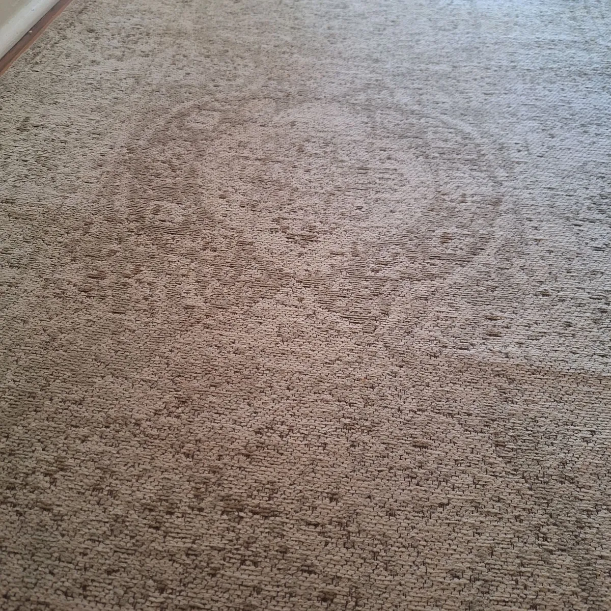 Vintage Style Hallway Runner Rug (198cm x 75cm) - Image 3