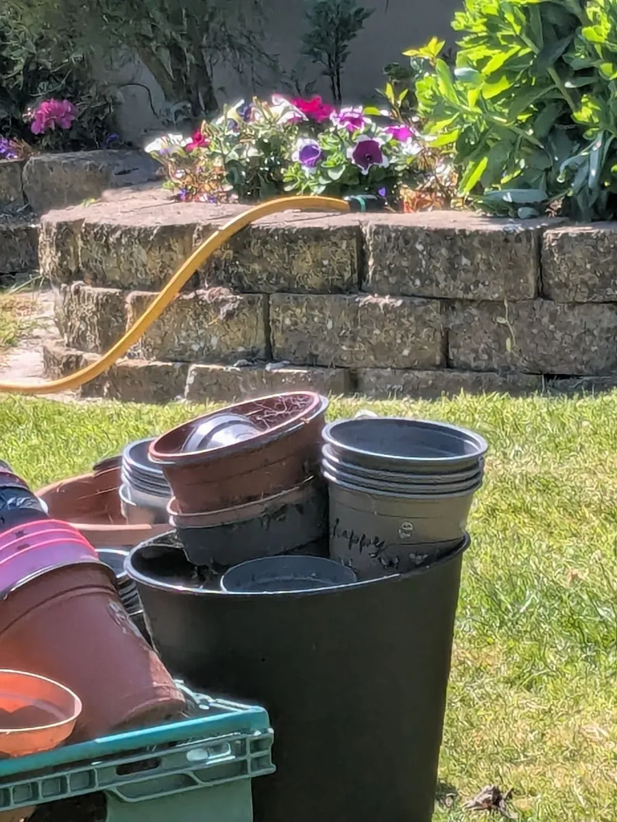 Free flower pots - Image 1