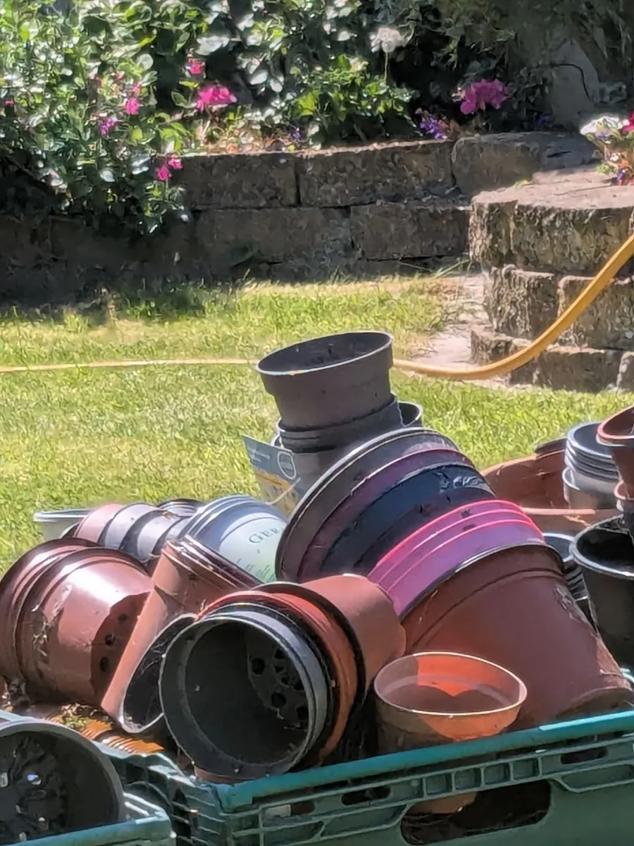 Free flower pots - Image 3