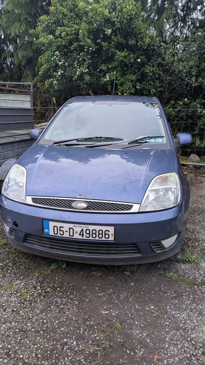 Ford Fiesta - Image 1