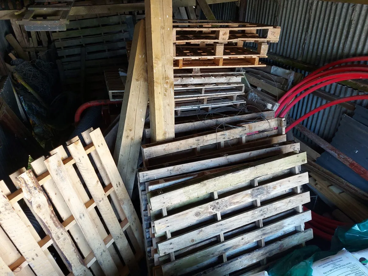 Pallets - Image 1