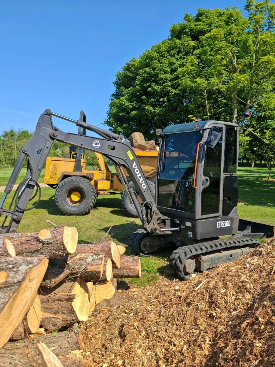 Volvo ecr 25D - Image 3
