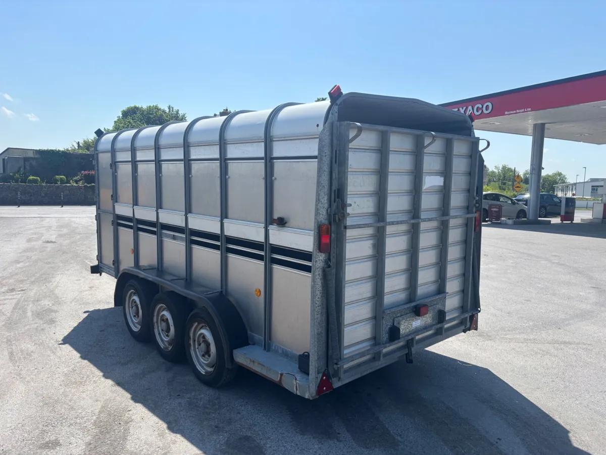 ifor williams ta510 14ft livestock trailer - Image 3