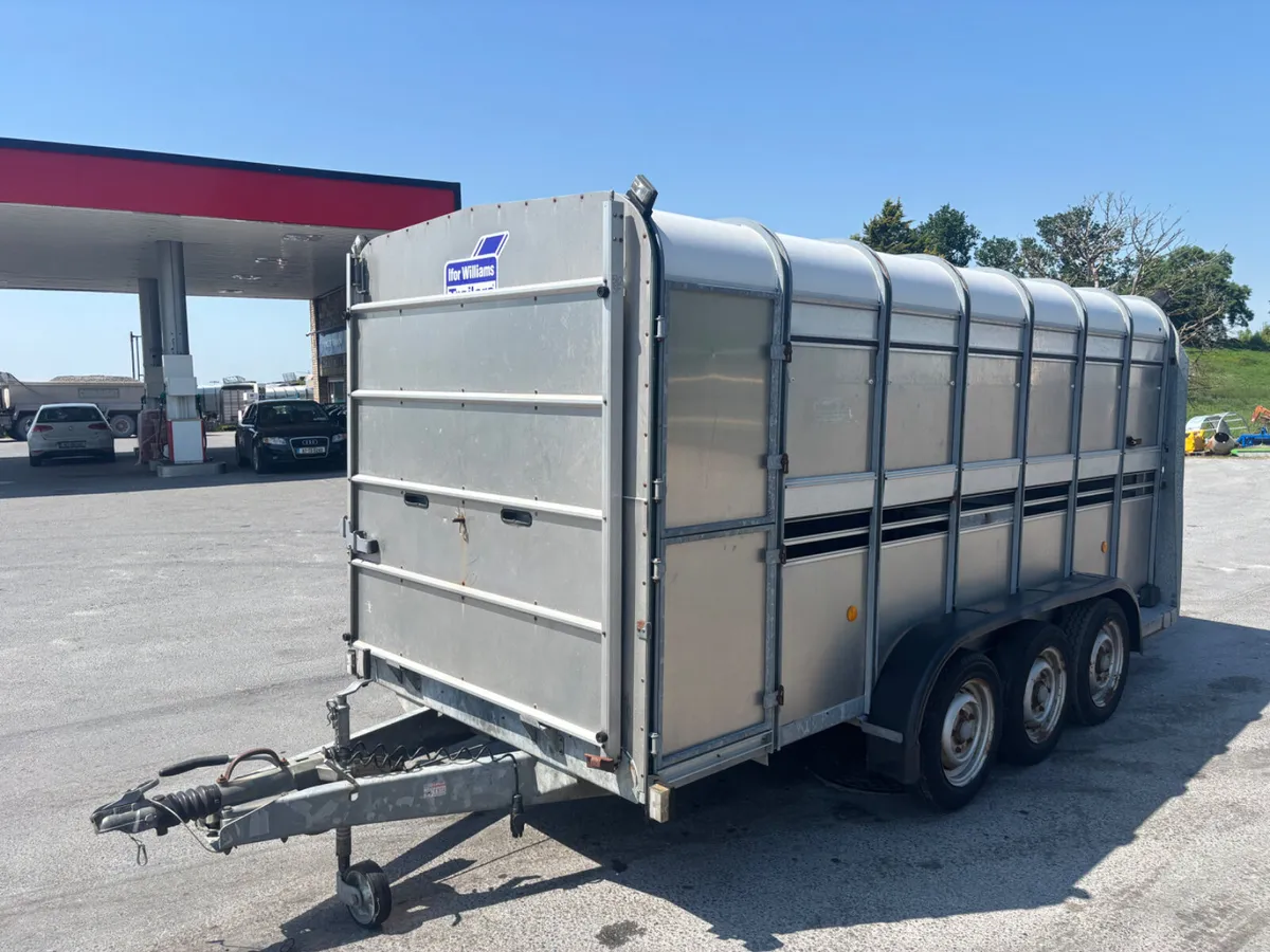 ifor williams ta510 14ft livestock trailer - Image 2