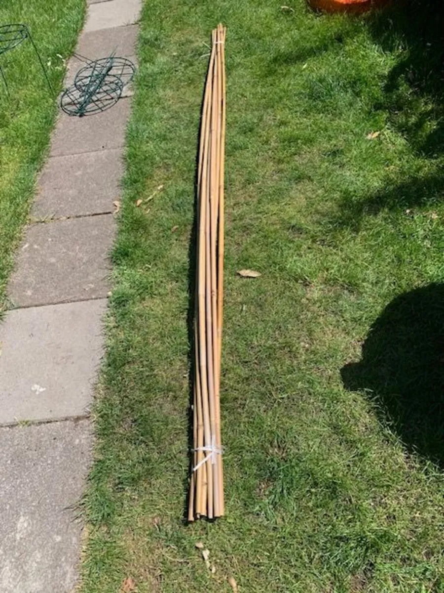 Bamboo poles 8' - Image 1