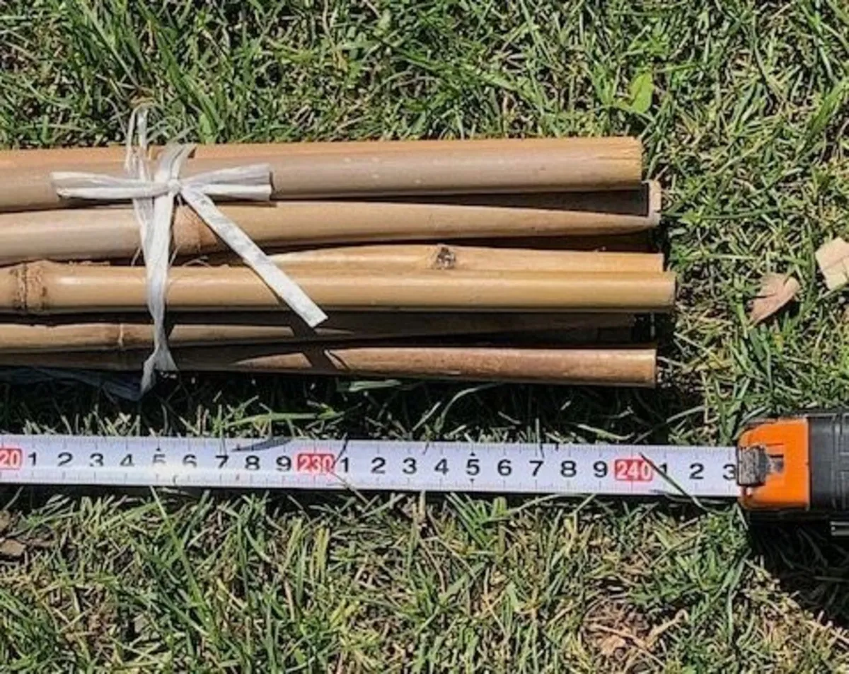 Bamboo poles 8' - Image 3