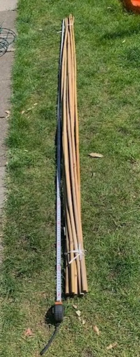 Bamboo poles 8' - Image 4