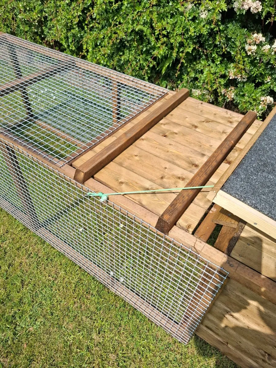 Ranger 8 x 2 Poultry Coop - Image 2