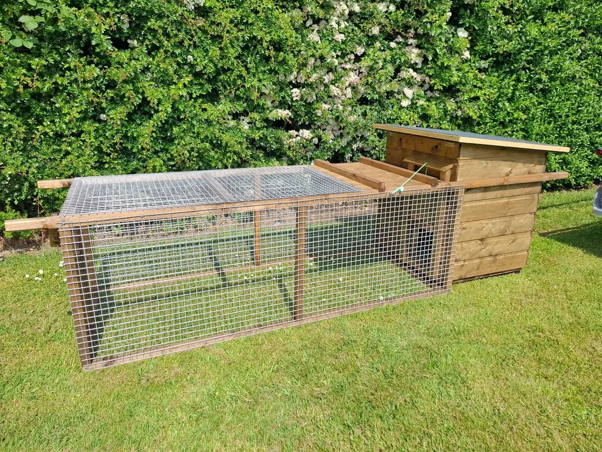 Ranger 8 x 2 Poultry Coop - Image 1