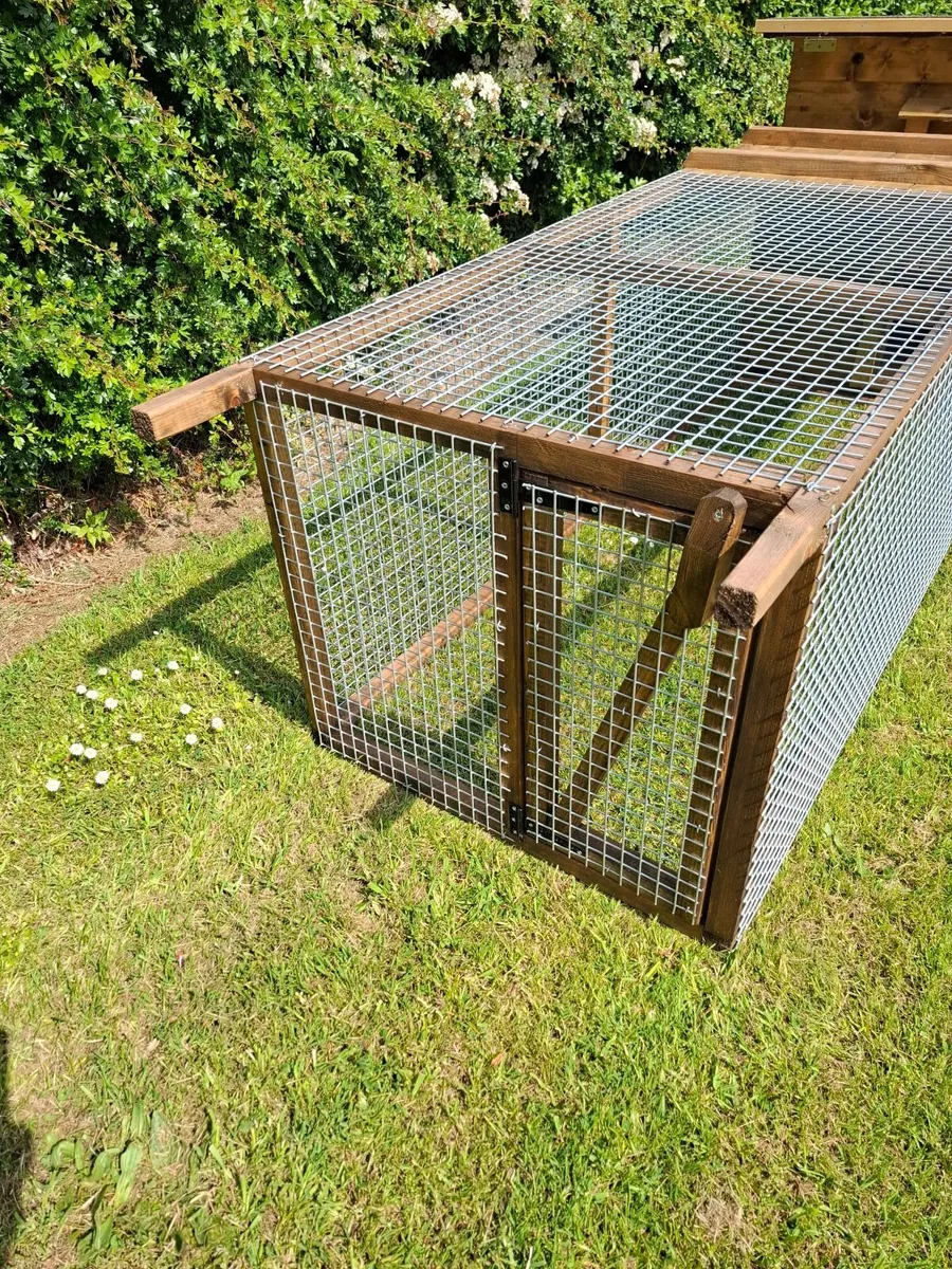 Ranger 8 x 2 Poultry Coop - Image 3