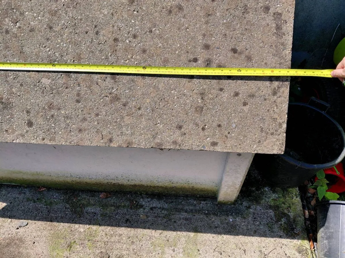 Double Concrete Dog House for 2 large dogs - Image 4