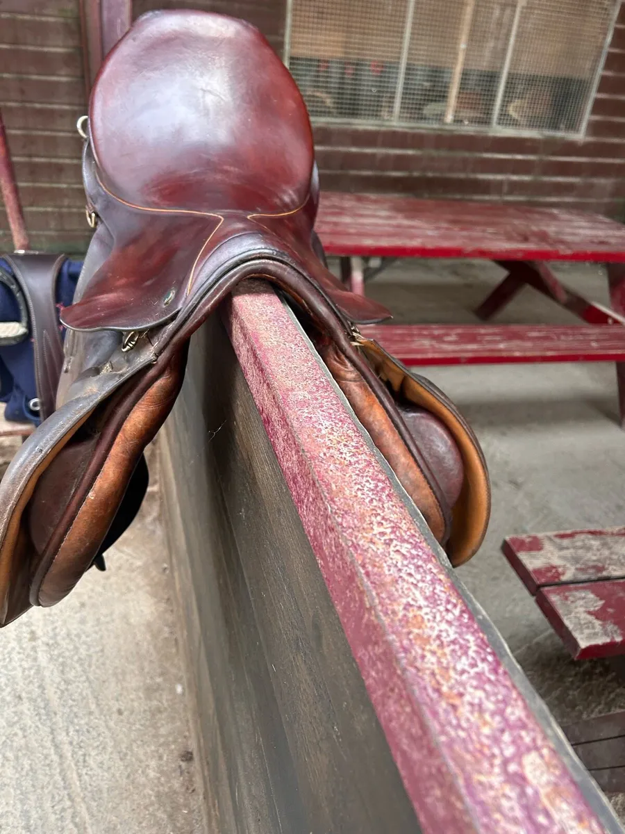 Stubben saddle - Image 4