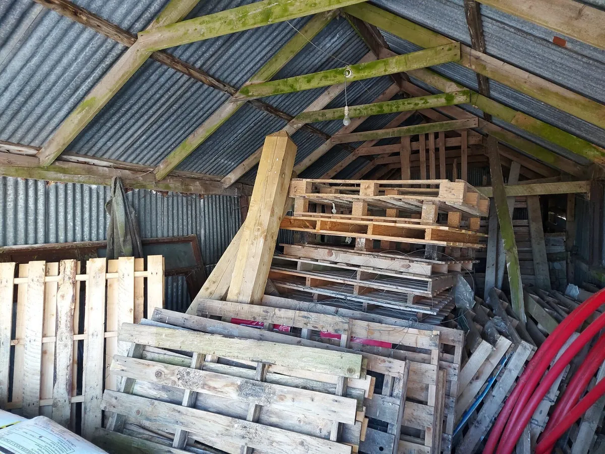 Pallets - Image 3