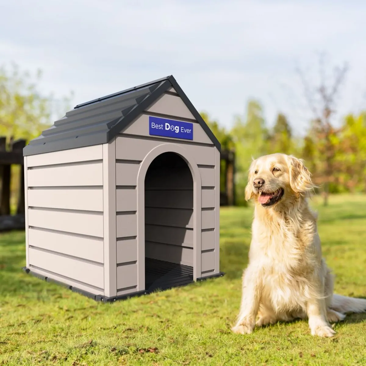 Woodbridge Plus 10.5×8 Shed – In Stock – - Image 1