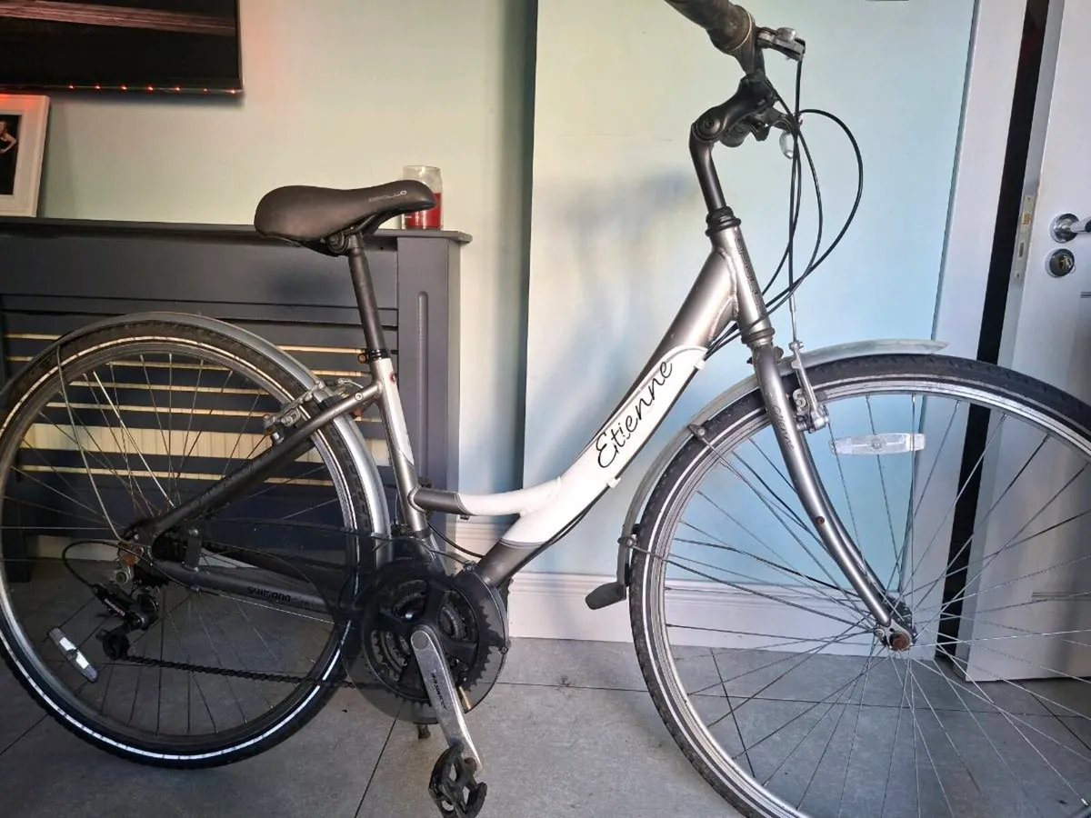 Bike - Image 1