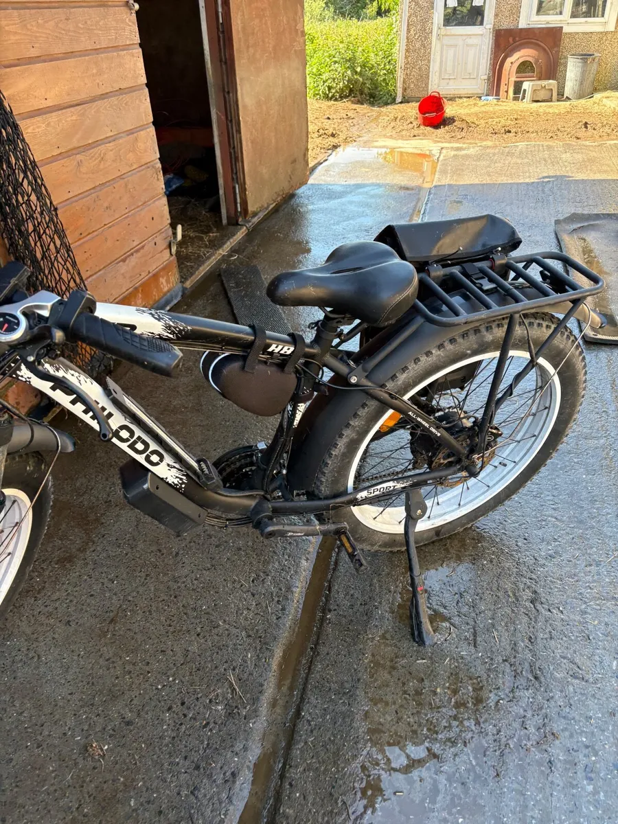 Electric cargo bike - Image 2