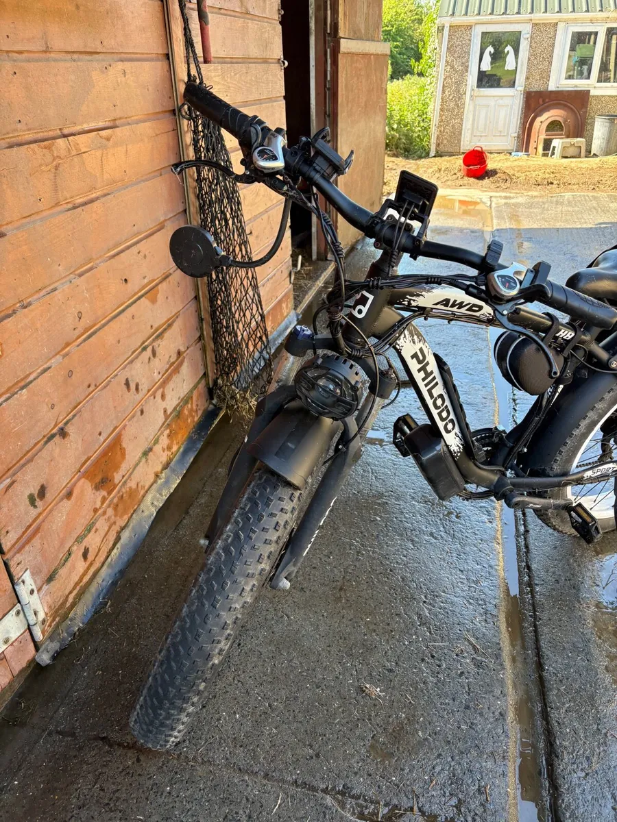 Electric cargo bike - Image 4