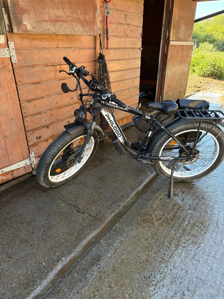 Electric cargo bike - Image 1